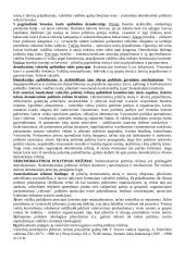 Demokratija ir šiuolaikinės politinės sistemos 3 puslapis