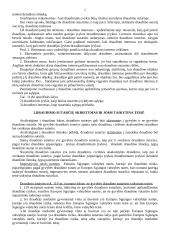 Draudimo sutarties sudarymas 2 puslapis