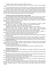 Draudimo sutarties sudarymas 12 puslapis