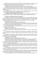 Draudimo sutarties sudarymas 13 puslapis