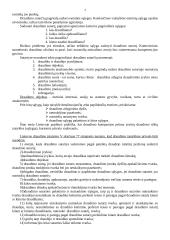 Draudimo sutarties sudarymas 4 puslapis