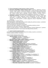 Struktūrizuota edukologijos teorija 12 puslapis