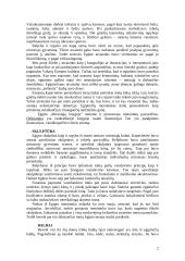 Egipto dailė 2 puslapis