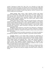 Egipto dailė 4 puslapis