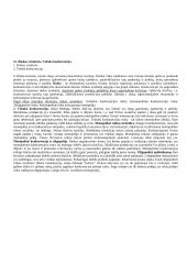 Labai geras ekonomikos pasiruošimas 15 puslapis