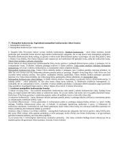 Labai geras ekonomikos pasiruošimas 17 puslapis