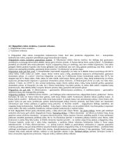 Labai geras ekonomikos pasiruošimas 18 puslapis