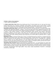 Labai geras ekonomikos pasiruošimas 19 puslapis