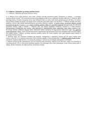 Labai geras ekonomikos pasiruošimas 5 puslapis