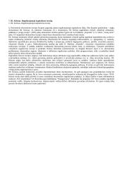 Labai geras ekonomikos pasiruošimas 7 puslapis