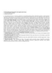 Labai geras ekonomikos pasiruošimas 10 puslapis