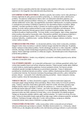 Ekonomika - mikro ir makro 5 puslapis