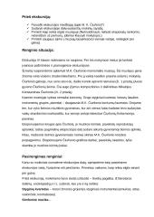 Ekskursija į Čiurlionio muziejų 2 puslapis