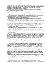 Ekskursija į Čiurlionio muziejų 4 puslapis