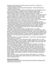 Ekskursija į Čiurlionio muziejų 5 puslapis