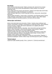 Ekskursija į Čiurlionio muziejų 6 puslapis