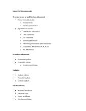 Eksporto planavimas 12 puslapis