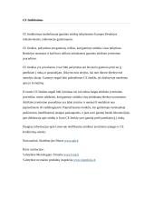 Eksporto planavimas 19 puslapis