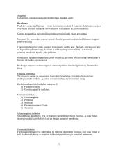 Embriologijos teorija 5 puslapis