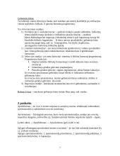 Embriologijos teorija 7 puslapis