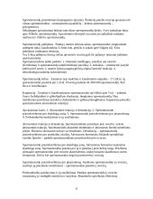 Embriologijos teorija 8 puslapis