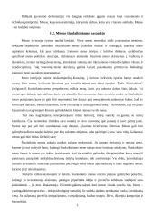 Estetika ir menas 3 puslapis