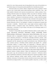 Estetika komunikacijų epochoje 2 puslapis