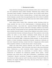 Estetika komunikacijų epochoje 5 puslapis