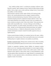 Etniniai konfliktai 2 puslapis