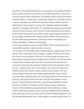 Etniniai konfliktai 11 puslapis