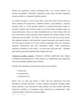 Etniniai konfliktai 3 puslapis