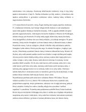 Etniniai konfliktai 5 puslapis