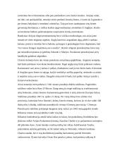 Etniniai konfliktai 6 puslapis