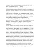 Etniniai konfliktai 8 puslapis