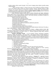 Europasas 2 puslapis