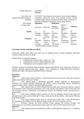 Europasas 7 puslapis