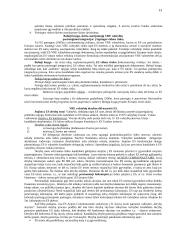 Europos integracijos procesai 13 puslapis