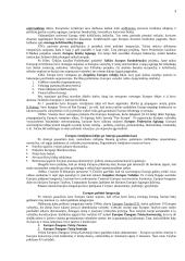 Europos integracijos procesai 3 puslapis