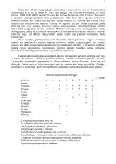 Europos monetarinė sąjunga (EMU) 5 puslapis