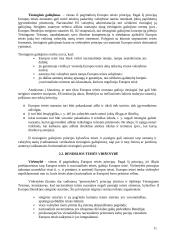 Europos Sąjungos paskaitų teorija 11 puslapis