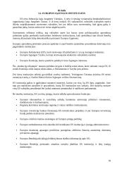 Europos Sąjungos paskaitų teorija 16 puslapis