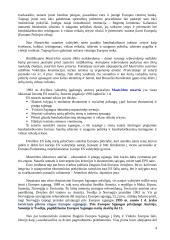 Europos Sąjungos paskaitų teorija 4 puslapis