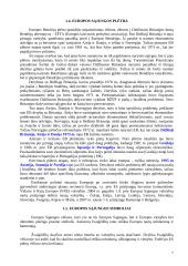 Europos Sąjungos paskaitų teorija 7 puslapis