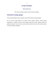 Europos Sąjungos (ES) politikos sritys. Euras 15 puslapis