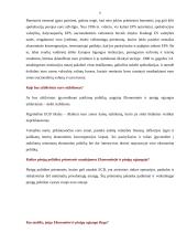 Europos Sąjungos (ES) politikos sritys. Euras 6 puslapis