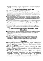 Europos Sąjungos veikla užtikrinant saugumą 11 puslapis