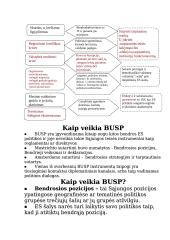 Europos Sąjungos veikla užtikrinant saugumą 5 puslapis