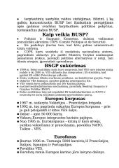 Europos Sąjungos veikla užtikrinant saugumą 8 puslapis