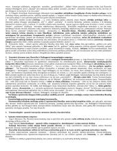  Fenomenologijos egzamino klausimai 2 puslapis