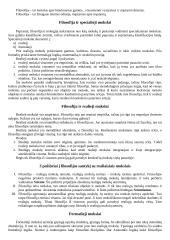 Kas yra filosofija bei jos ypatybės 2 puslapis